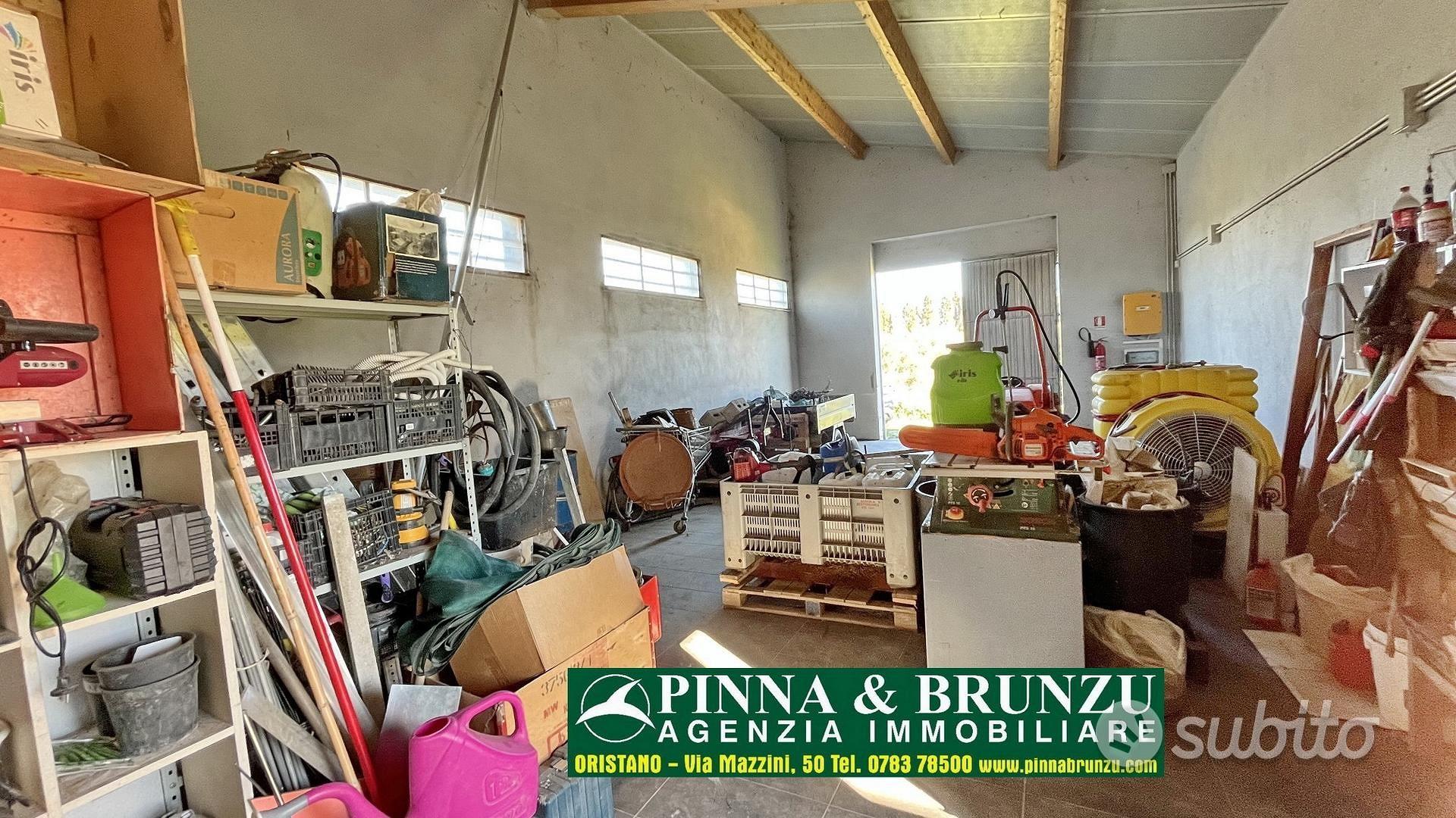 Oristano - azienda agricola - Vista 4
