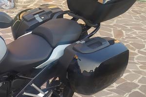 Bauletto con borse laterali touring BMW 1250 R 