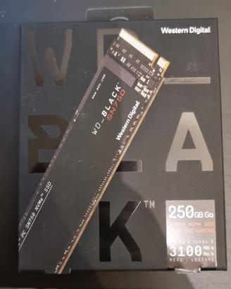 Western Digital SSD 250GB NVMe