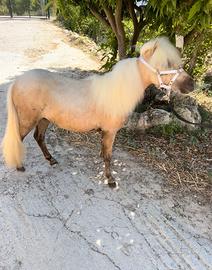 Falabella