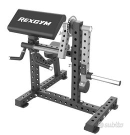 Rexgym Bicipiti e Tricipiti nuovo