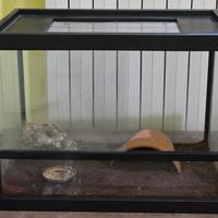 Teca in vetro per rettili