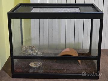 Teca in vetro per rettili