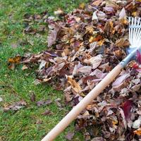 Manutentore del verde