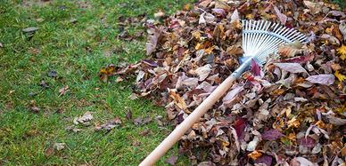 Manutentore del verde