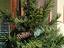 Immagine 5
