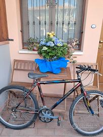 Bicicletta usata in buon stato