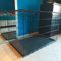 Kennel per cane