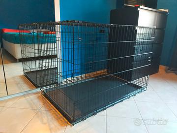 Kennel per cane