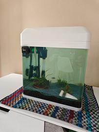 Acquario 16l