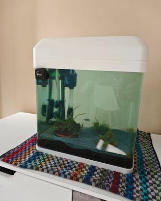Acquario 16l