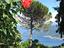 Immagine 9