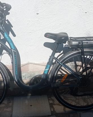Bicicletta elettrica Torpado 