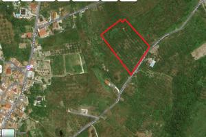 Terreno Agricolo Barcellona Pozzo di Gotto