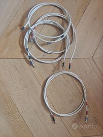 Van Den Hul SCS 6 (2,2m).  Cavo per diffusori
