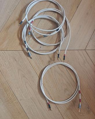 Van Den Hul SCS 6 (2,2m).  Cavo per diffusori