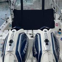 Evinrude g2