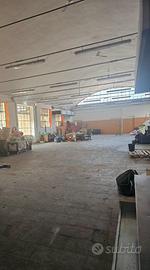 Capannone artigianale