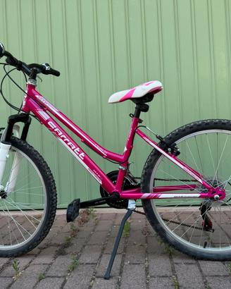 Bicicletta mountanbike da 24