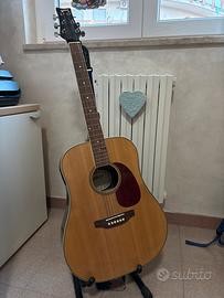 chitarra acustica ashton