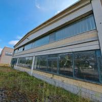 Capannone artigianale