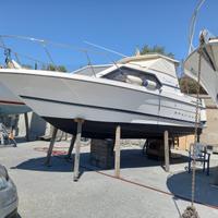 Barca BAYLINER 2452 CIERA express cruiser