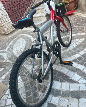 Bicicletta