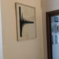 Opera grafica Marcello Morandini 1971