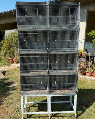 Gabbia per piccoli volatili