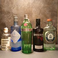 bottiglie di gin vuote 