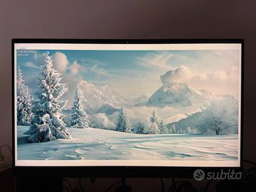 Monitor Philips 24" con piedistallo