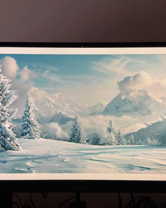 Monitor Philips 24" con piedistallo