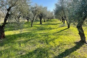Posto per tranquillita e relax