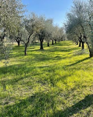 Posto per tranquillita e relax