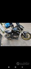 moto QJ unico proprietario 2024