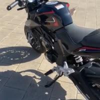 lem brutus 110