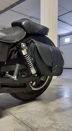 Borse laterali Ends Cuoio Harley Davidson Dyna 