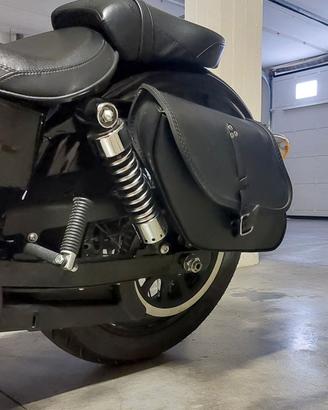 Borse laterali Ends Cuoio Harley Davidson Dyna 