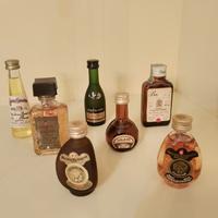 bottiglie  miniatura 