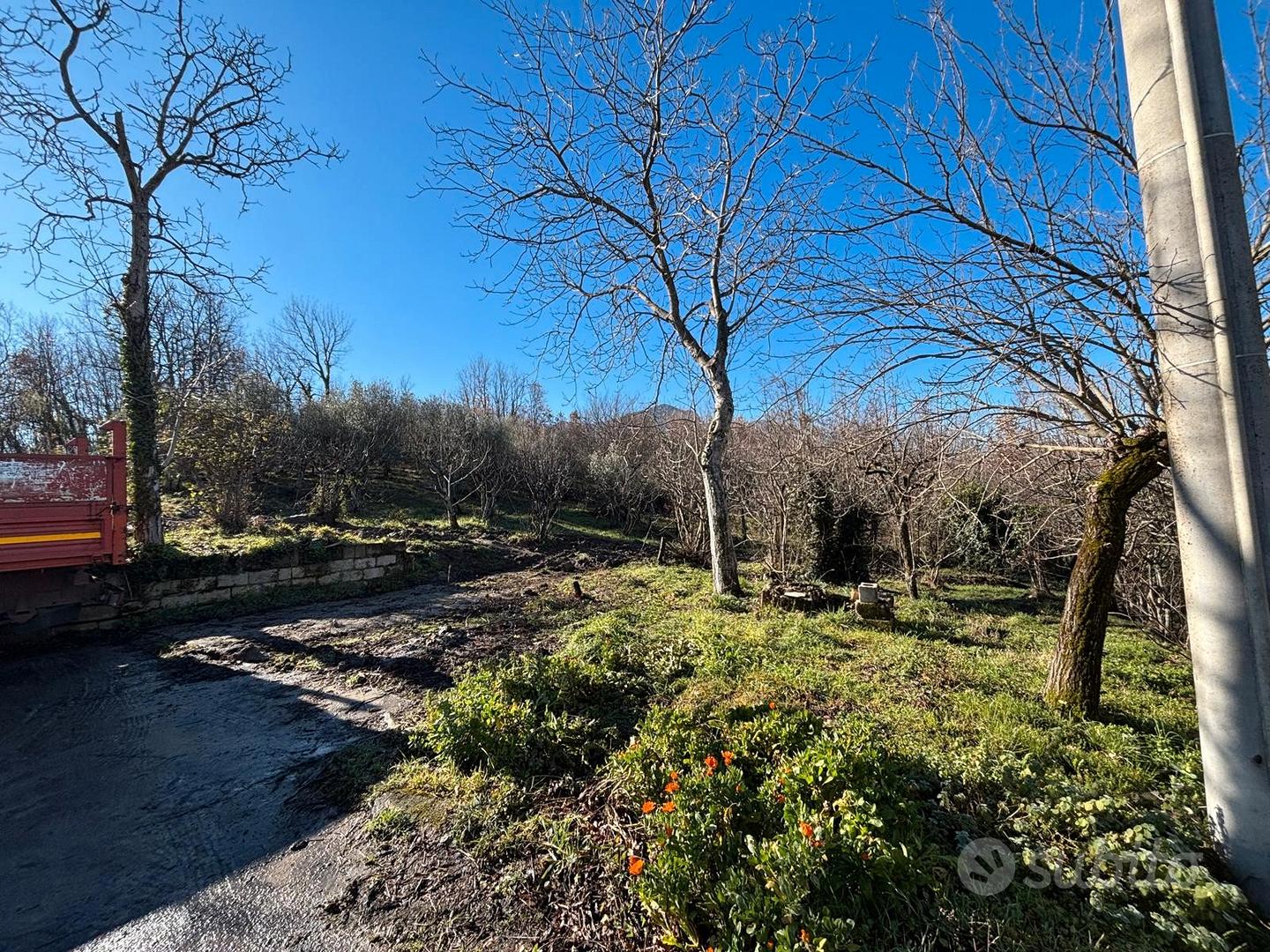 Terreno agricolo con deposito e pozzo - Vista 4