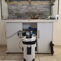 Manutenzioni, allestimenti e progettazioni acquari