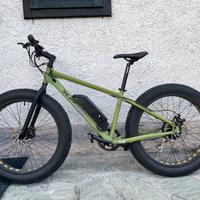 Fat bike elettrica