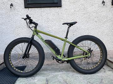 Fat bike elettrica