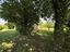 Immagine 14