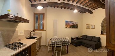 Appartamento centro Siena