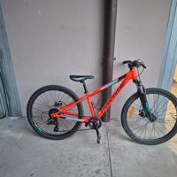 cannondale trail 24"