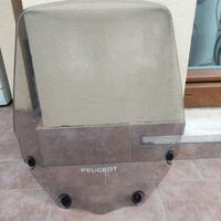 Parabrezza Peugeot Geopolis