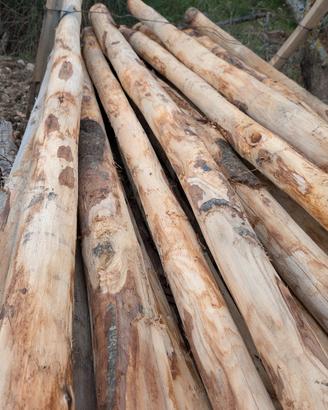 pali in legno di castagno 2.5m robusti per vigna