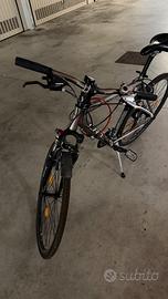 Bici da uomo