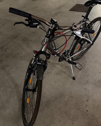 Bici da uomo